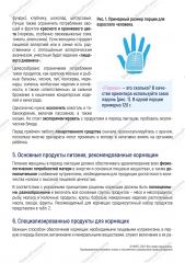 Питание при грудном вскармливании изображения 4